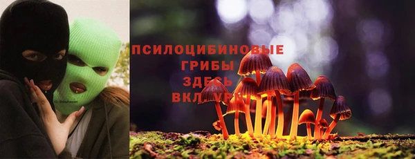 СК Ростов