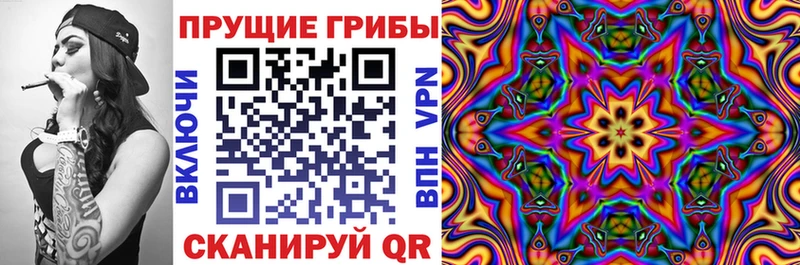 где купить наркоту  Барыш  Псилоцибиновые грибы мицелий 