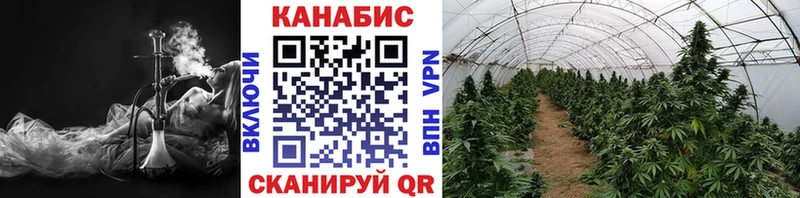 как найти наркотики  Барыш  МАРИХУАНА White Widow 
